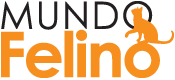 Mundo Felino